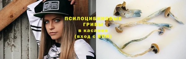 амф Пролетарск