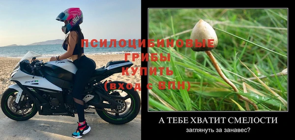 ПСИЛОЦИБИНОВЫЕ ГРИБЫ Протвино