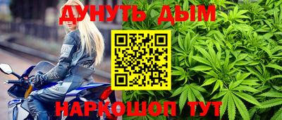 индика Апшеронск