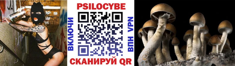Галлюциногенные грибы Cubensis Ачинск
