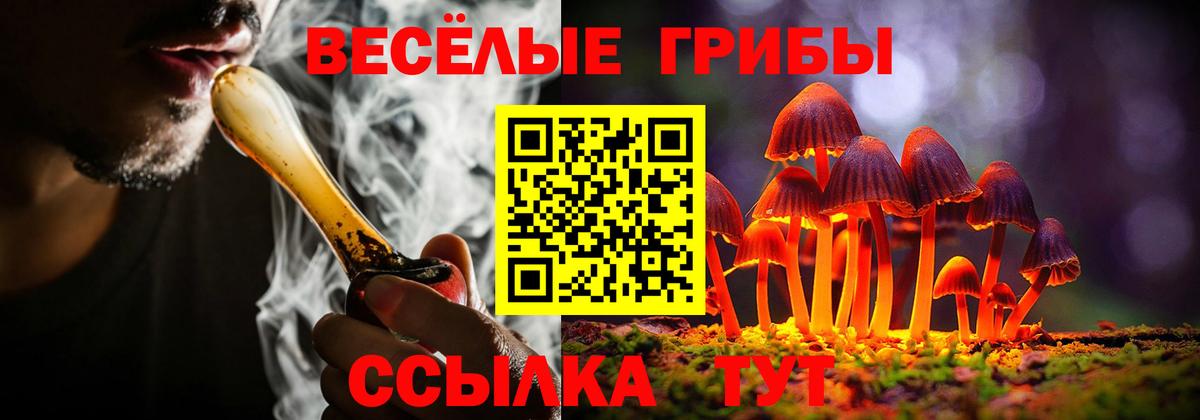 Псилоцибиновые грибы Psilocybe  Псилоцибиновые грибы Psilocybe  Ачинск  Вход с VPN 