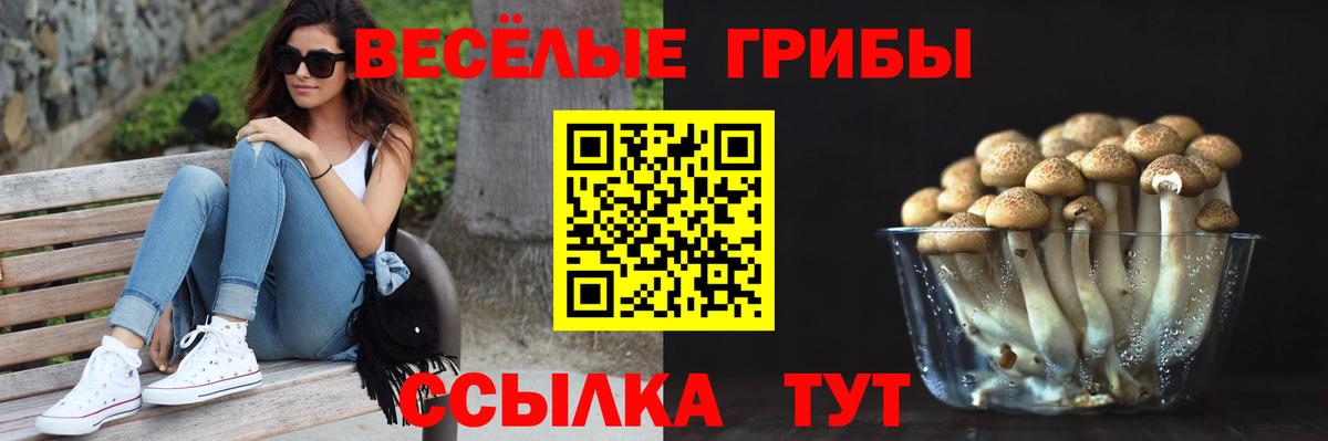 Псилоцибиновые грибы MAGIC MUSHROOMS Ачинск